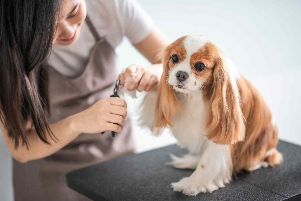 Nail Clipping 