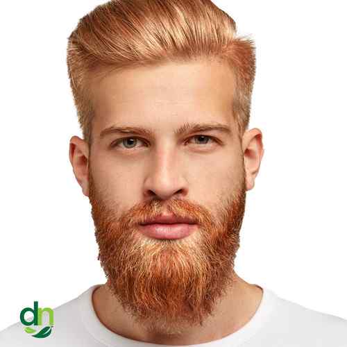 Beard Henna Dye