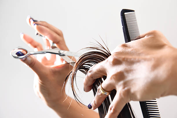 Hair Trim (Adult)