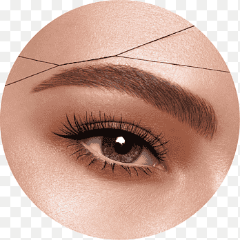 Eyebrow Threading